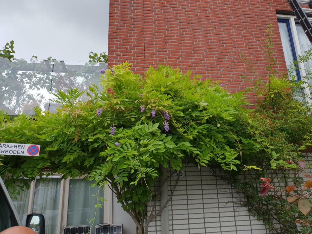Johan's With Roofterrace And Cheap Parking - Since 2014 Privatunterkunft